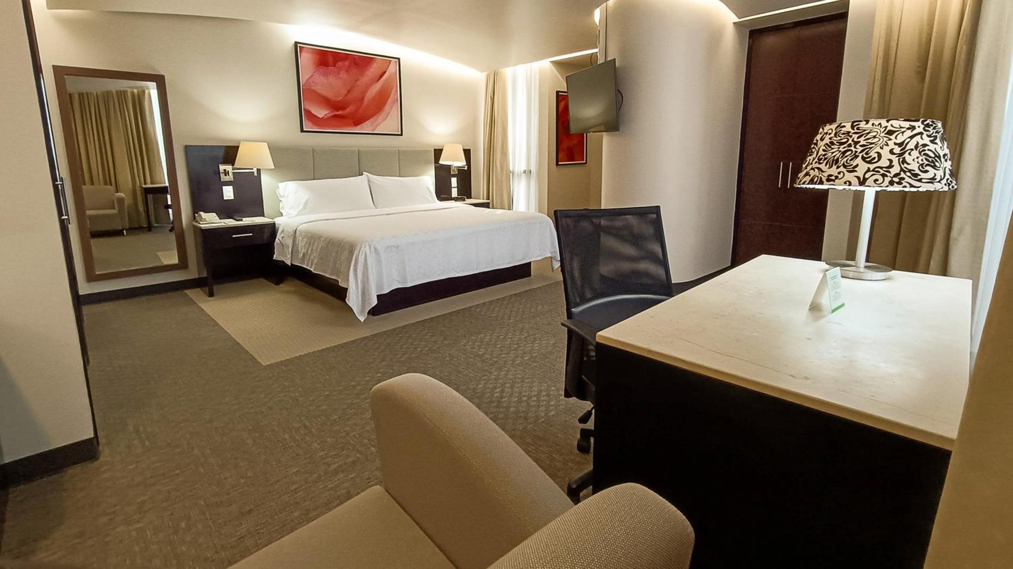 Hotel & Medica Sur By Ihg 4*