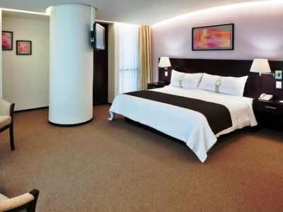 Hotel & Medica Sur By Ihg 4*